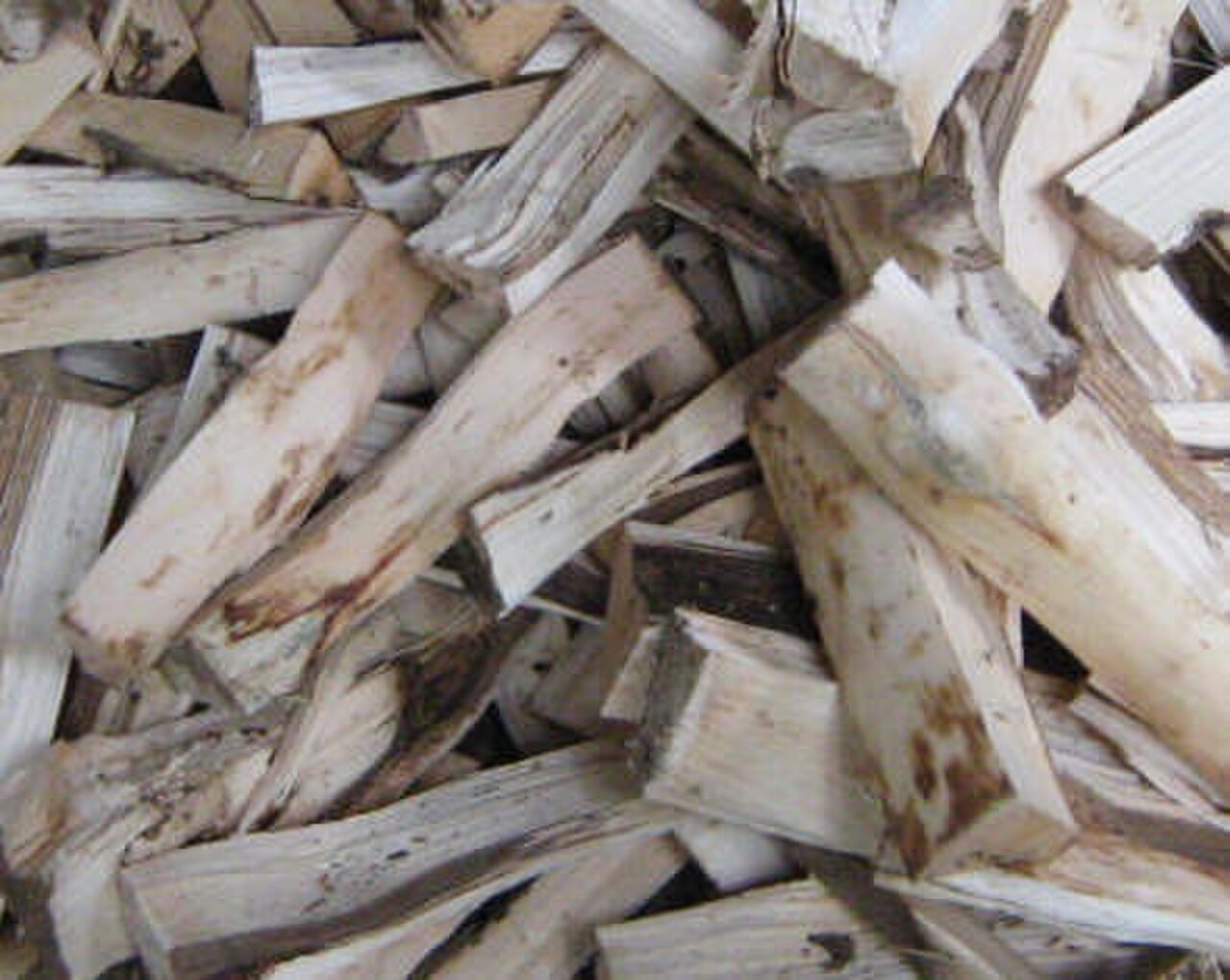 Tête : Bois d'agar, Bois de rose brésilien