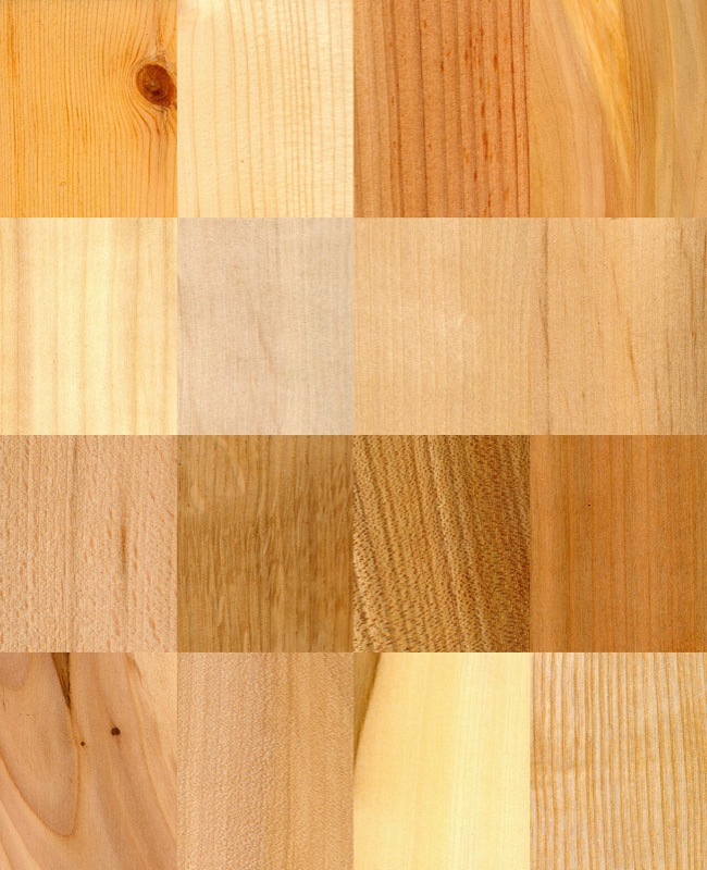 Fond : Notes boisées, Ambre gris, Bois de cèdre