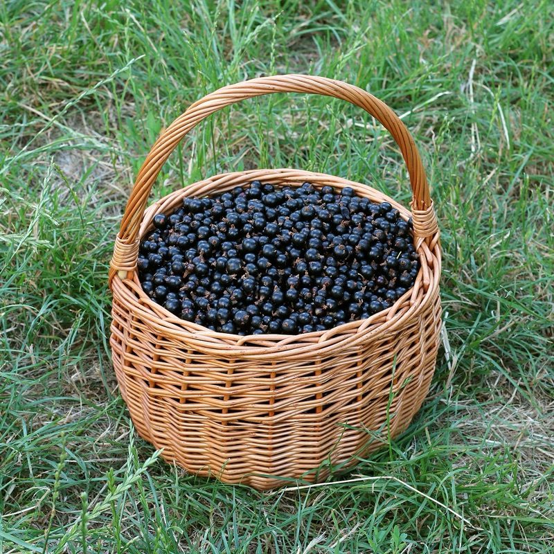 Cœur : Cassis, Ambrette, Café