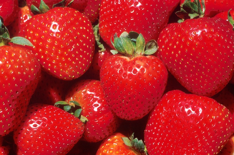Fraise