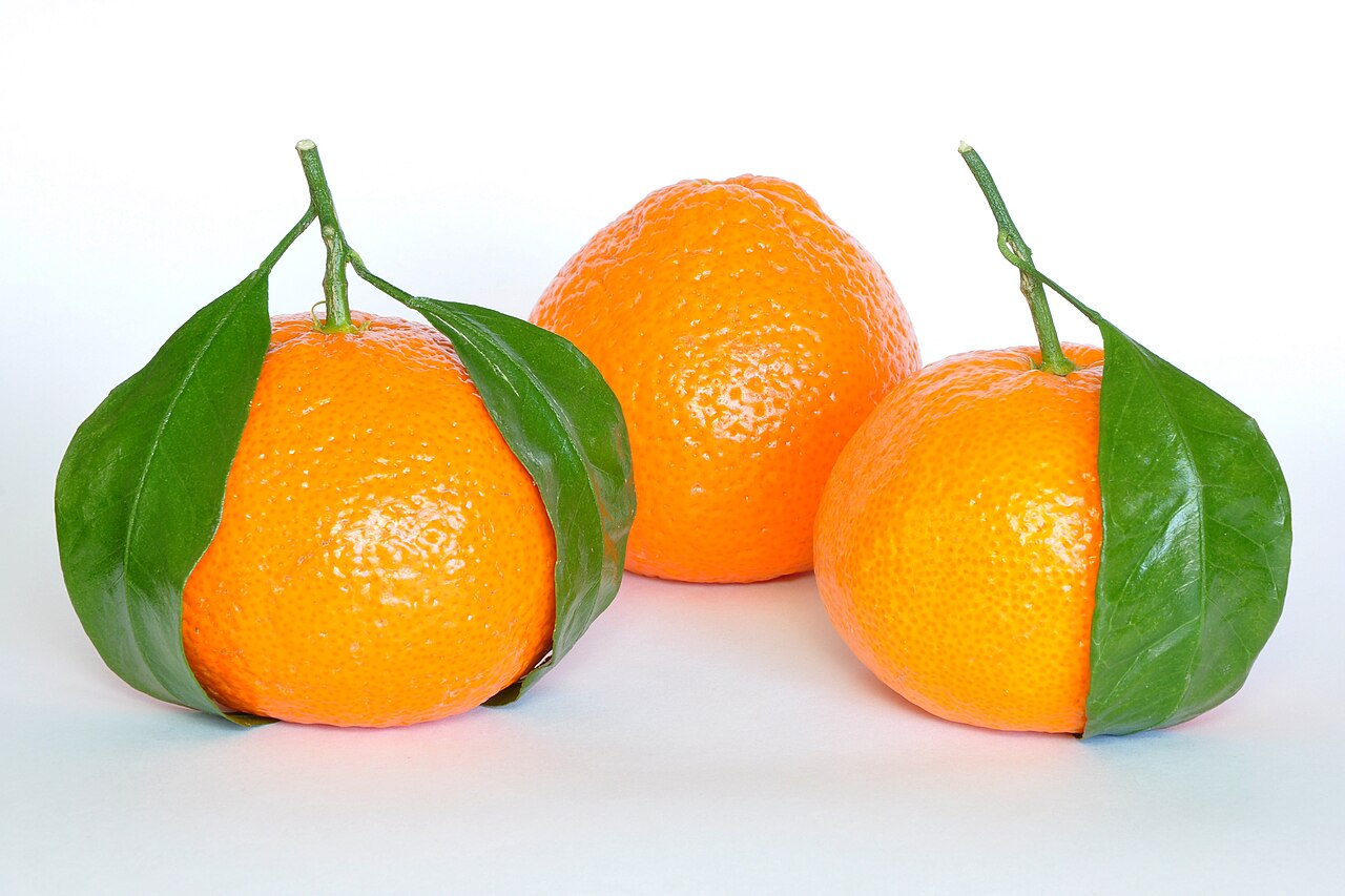 Tête : Mandarine, Gingembre, Citron