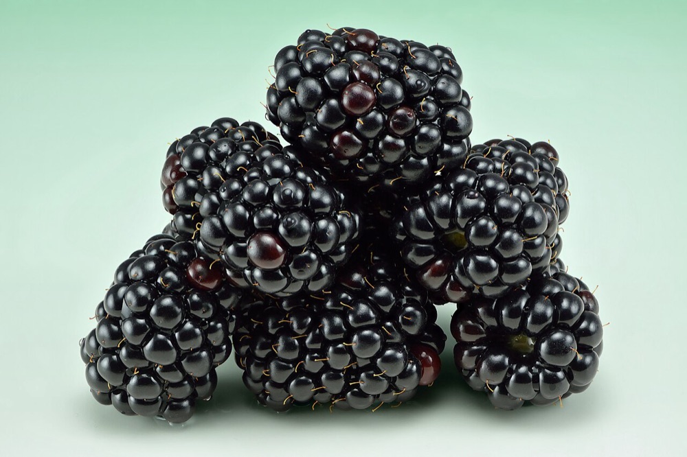Tête : Mûre, Cassis, Framboise