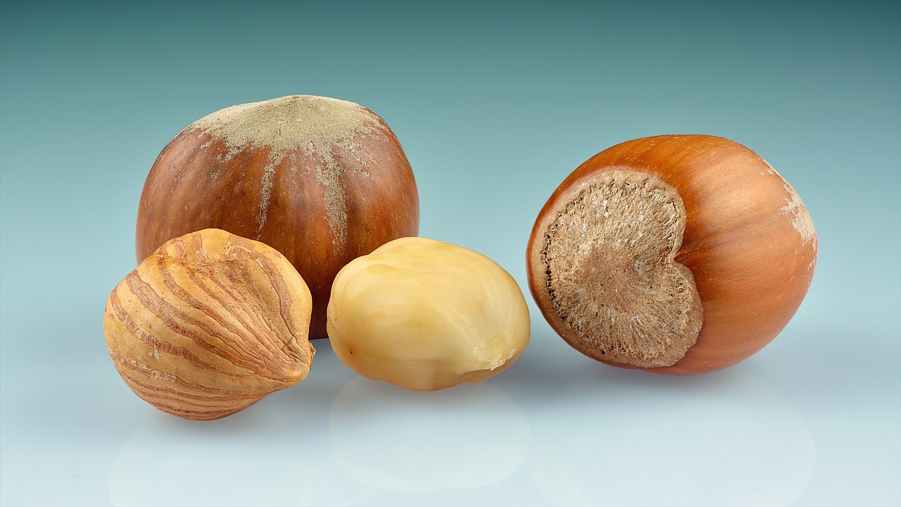 Fond : Noisette, Vanille, Bois blancs