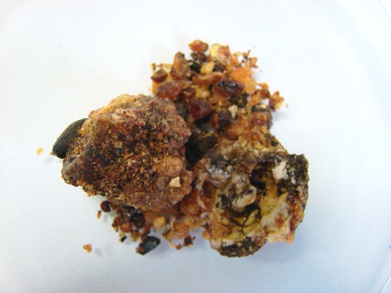 Tête : Opoponax, Malt, Fleur de vanille