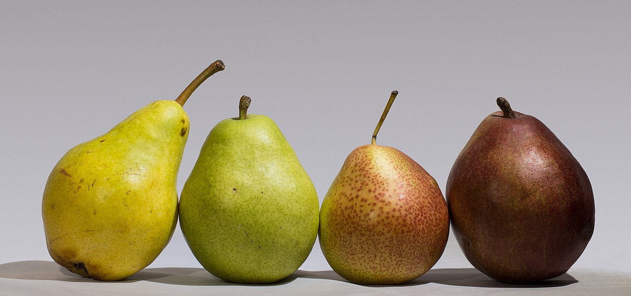 Cœur : Poire, Pitaya, Jasmin