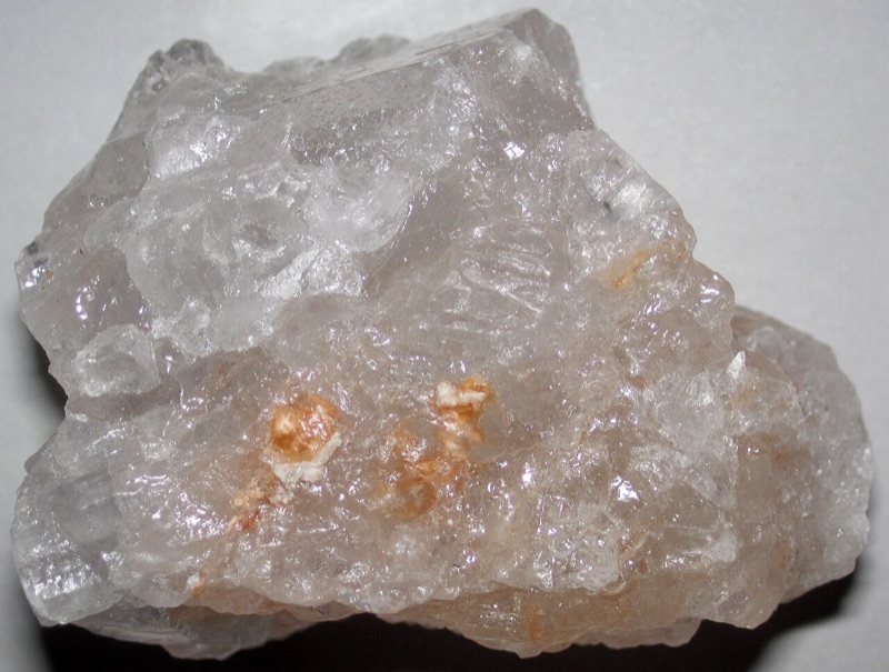 Tête : Salé, Gingembre, Marine