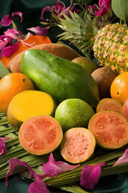 Fond : Tropical, Poudré