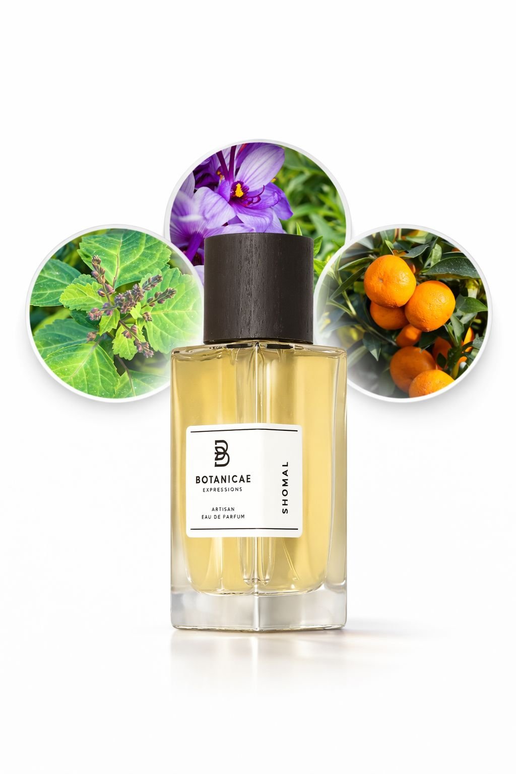Flacon de Shomal, Botanicae — vue 2