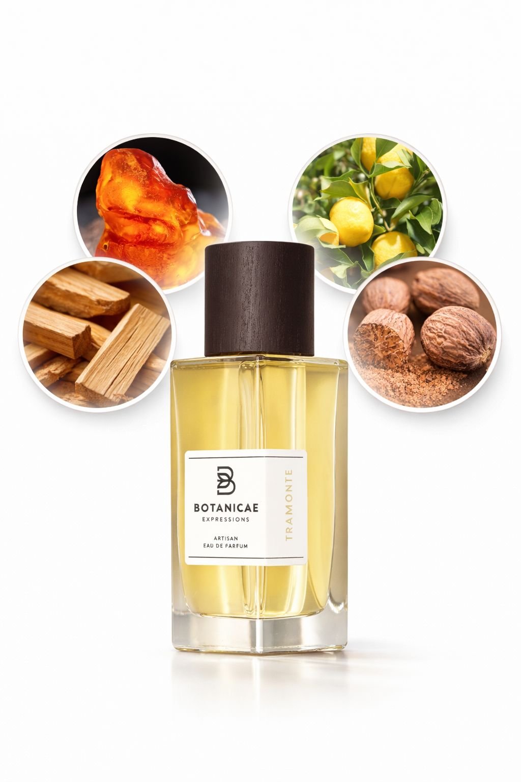 Flacon de Tramonte, Botanicae — vue 2