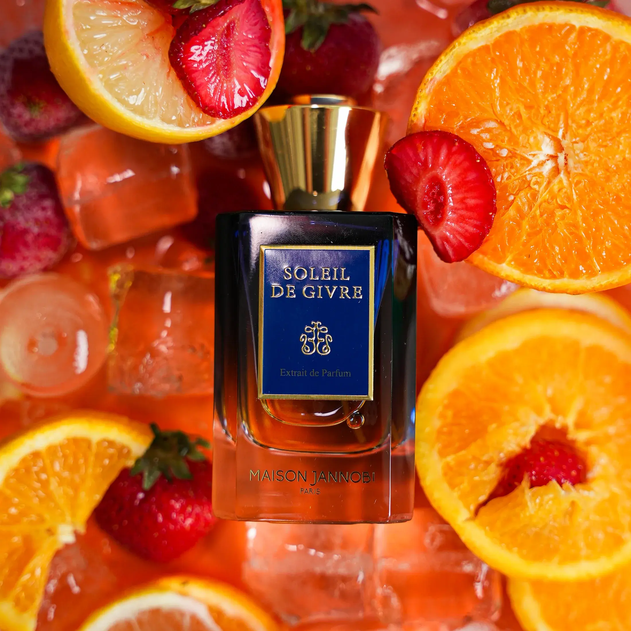 Soleil de Givre, Maison Jannobi - glace, oranges et fraises