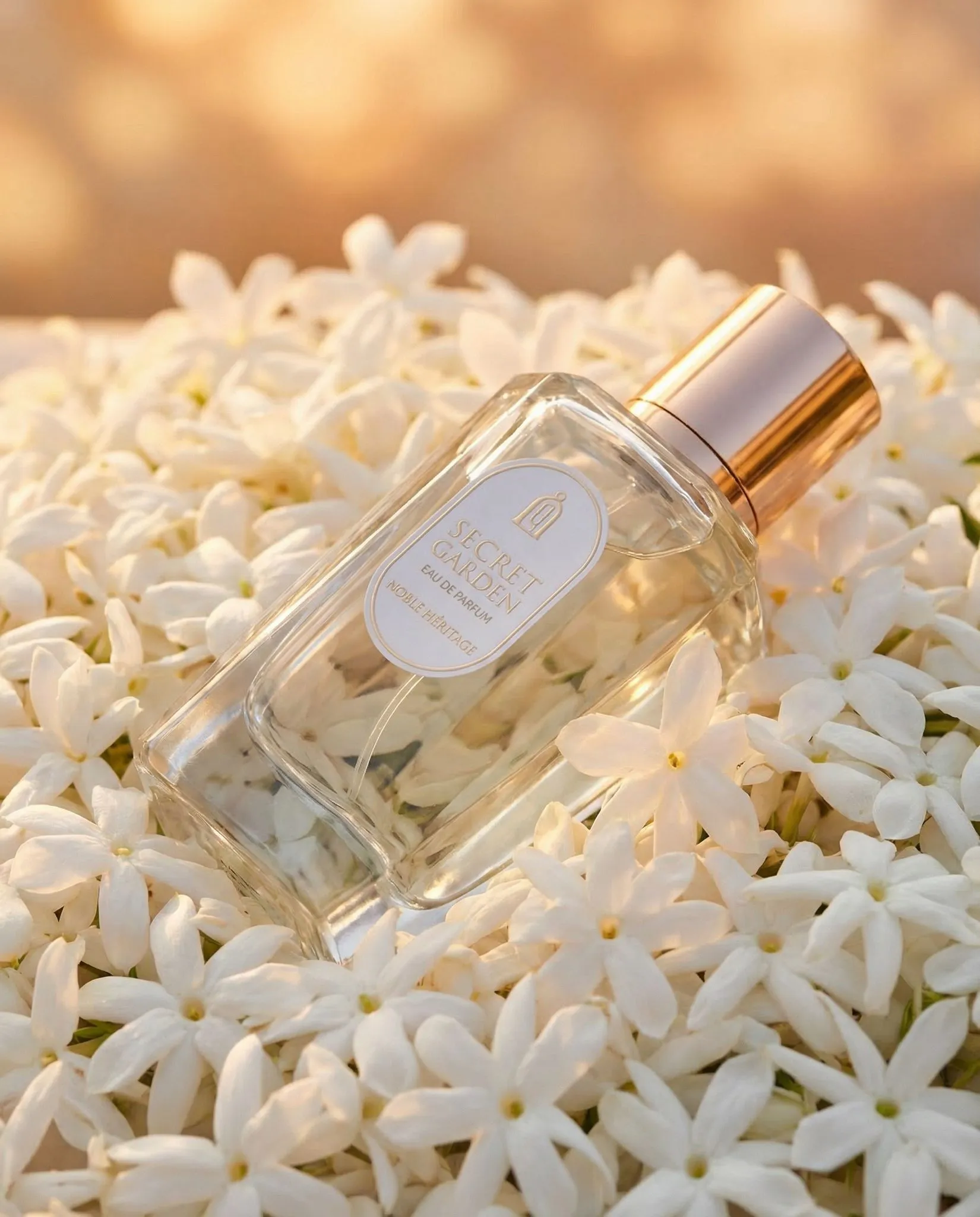 WhatsApp Image 2026-03-16 at 17.06.35 (1)_11zon