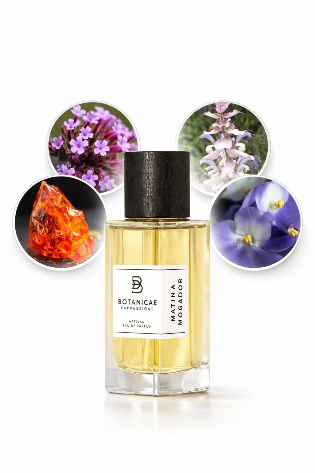 WhatsApp Image 2026-03-28 at 22.20.13