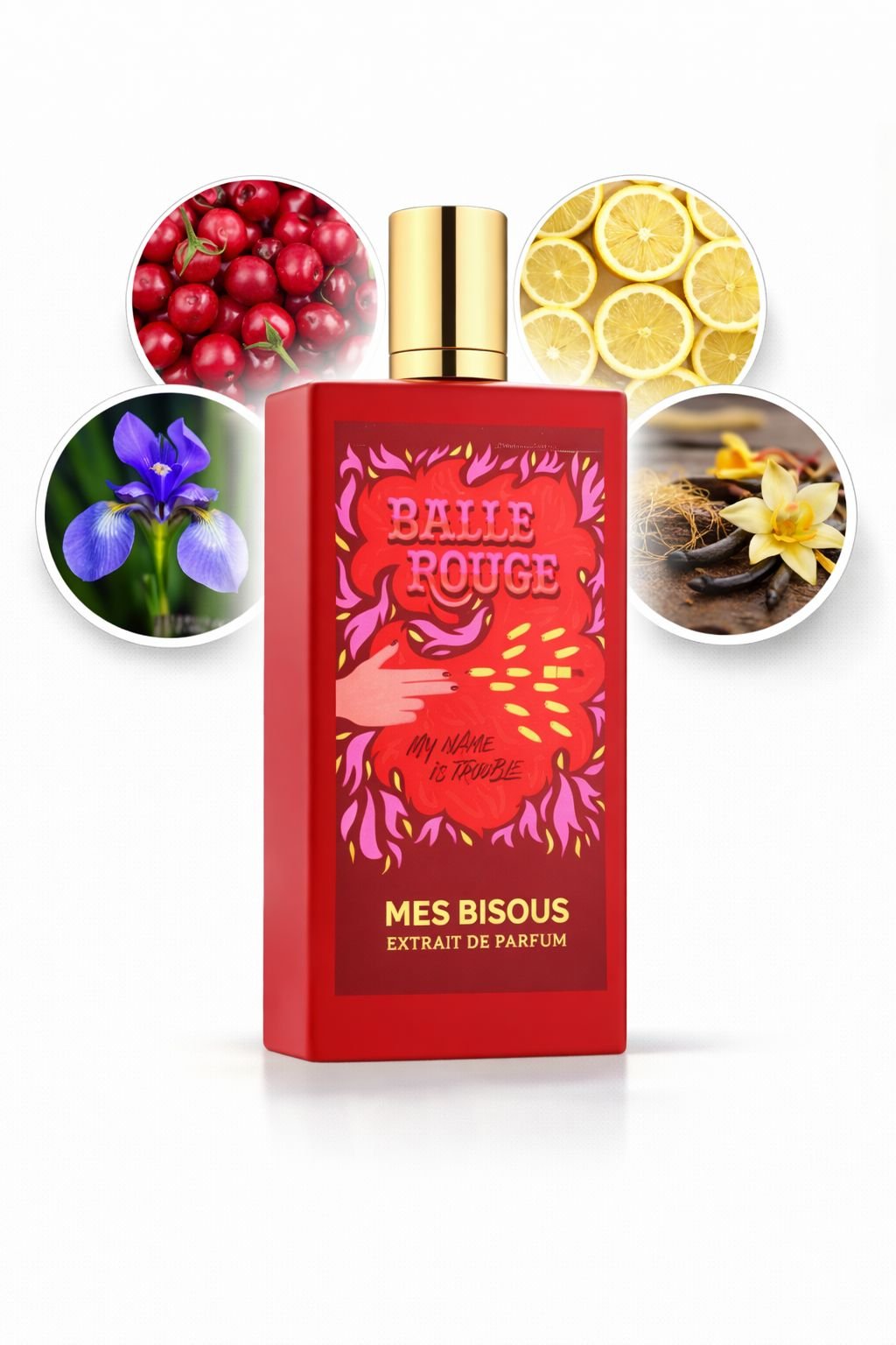 WhatsApp Image 2026-03-28 at 23.26.10 (1)