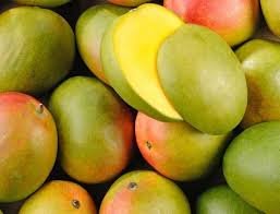 Mangue