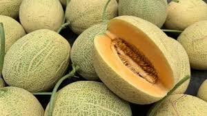 Melon